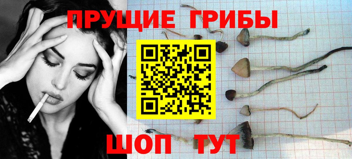 Галлюциногенные грибы мицелий  Вход с VPN  Нижневартовск 